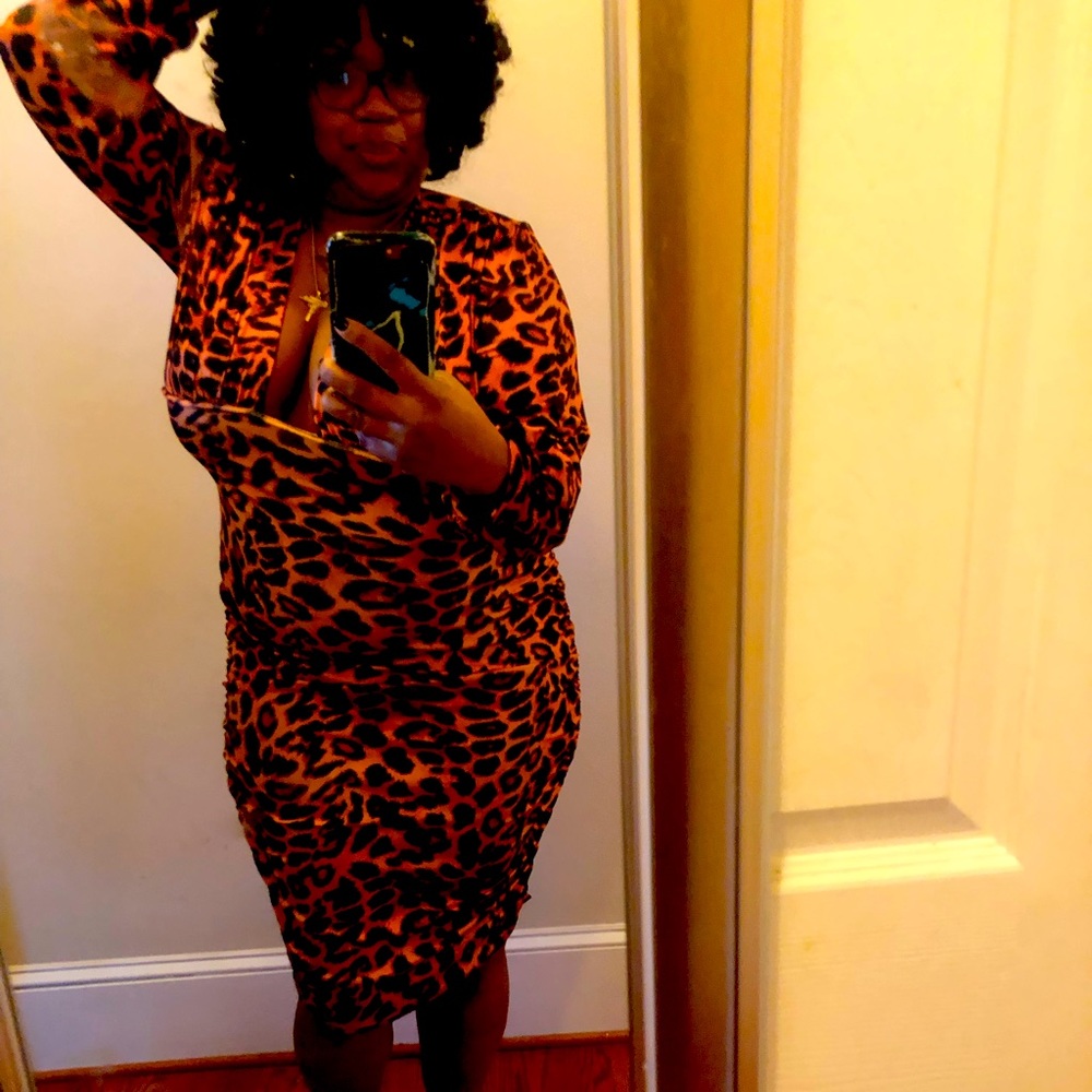 Animal Print Deep V Bodycon Dress